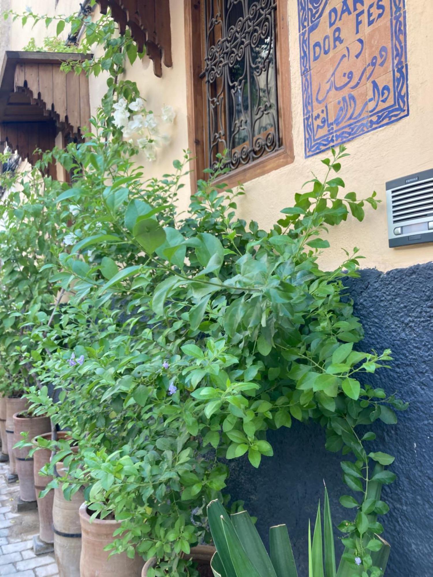 Dar D'Or Fes Hotel Exterior foto